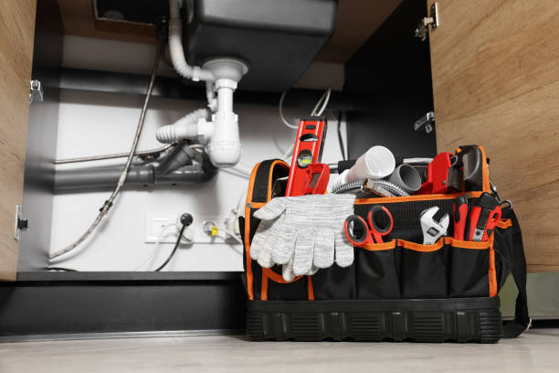 Best Residential Plumbing Services  in St Johns, AZ